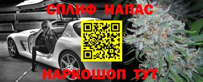 сатива Ирбит
