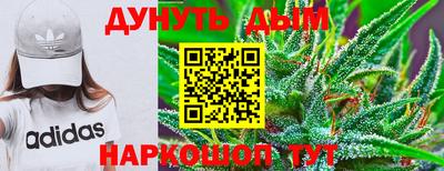 сатива Ирбит