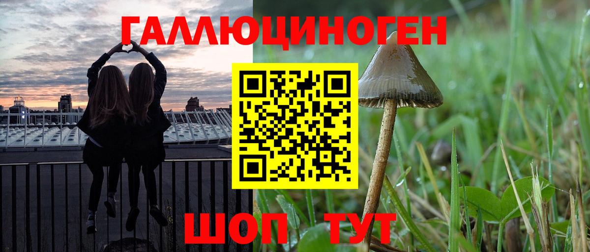 Шахты  Галлюциногенные грибы MAGIC MUSHROOMS  Псилоцибиновые грибы мицелий  Вход с VPN 