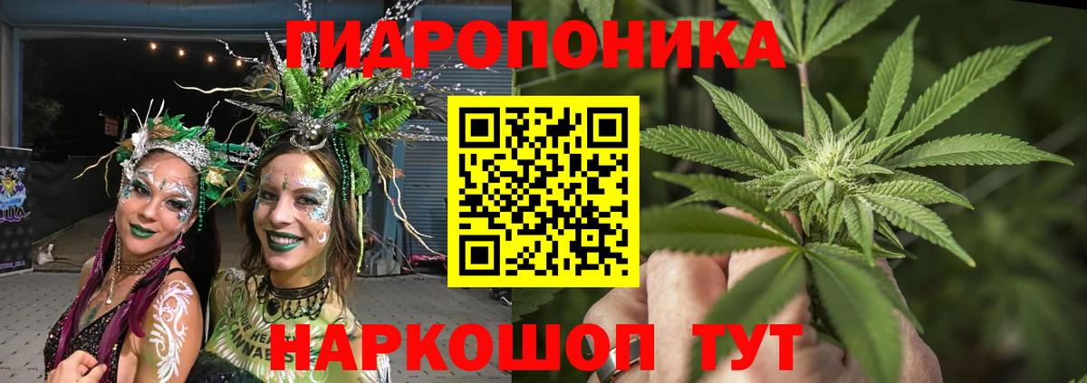 Каннабис ГИДРОПОН Шахты